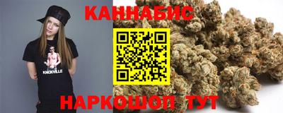 Альфа ПВП Ставрополь